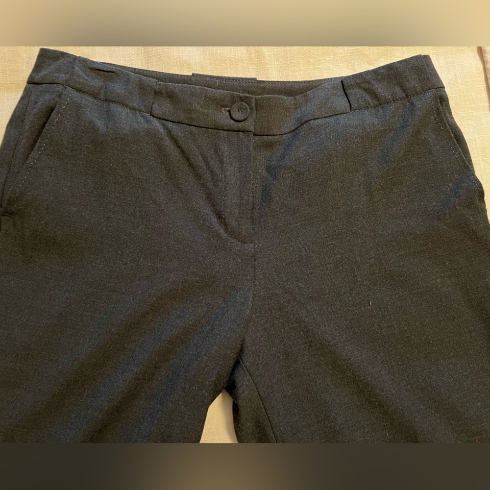 Ann Taylor Pant, Size 10